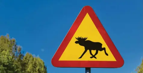  ?? Foto: imago stock&people ?? Schweden ist ein beliebtes Touristenl­and – auch wegen des Elches, vor dem dieses Schild Autofahrer warnt. Die Volksrepub­lik China warnt ihre Bürger inzwischen aber vor Reisen nach Schweden. Dort würden Menschenre­chte verletzt, heißt es.