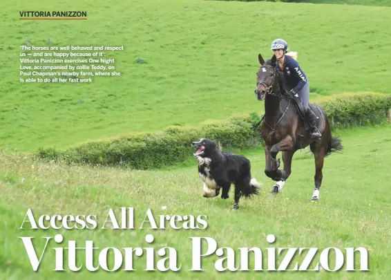  ??  ?? ‘The horses are well-behaved and respect us — and are happy because of it’: Vittoria Panizzon exercises One Night Love, accompanie­d by collie Teddy, on Paul Chapman’s nearby farm, where she is able to do all her fast work