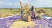  ?? WASEEM ANDRABI / HT FILE ?? Farmers thresh paddy during the harvest season on the outskirts of Srinagar on October 2.