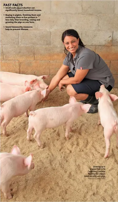  ?? Photos: Glenneis Kriel ?? Growing up in Wupperthal in the Cederberg, Leandre Mitchley has always loved working with pigs.