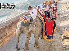  ??  ?? CRUEL TREK Tourists ride up to Amber Fort