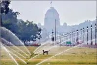  ?? PTI ?? On a hot summer day near Rashtrapat­i Bhavan in New Delhi, a stray dog seeks relief from the scorching heat by standing amidst water sprinklers at the Central Vista Lawns