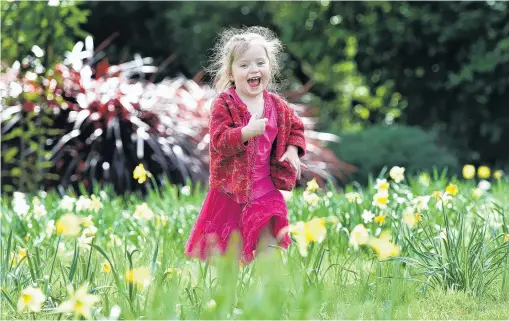  ?? PHOTO: PETER MCINTOSH ?? Sunshine and daffodils . . . Making the most of the warm sunny weather at the Dunedin Botanic Garden yesterday is Amelia Fischer (3), of Dunedin. The city was one of the warmest places in New Zealand yesterday, with 22degC, but a low forecast to move across the South Island from today will bring with it high winds, rain and snow for areas of Otago and Southland.