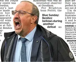  ?? REX ?? Blue Sunday: Benitez bellows during another defeat