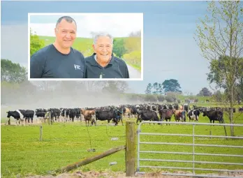  ?? Photo / Alison Smith. ?? Mangatea Farm is part of 4000ha that Tainui Group Holdings owns in Waikato.
Inset, Mozz Trueman and Ngati Wairere kaumatua George Hopa.