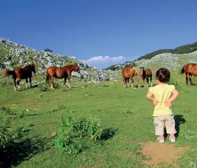  ??  ?? All’aria aperta Una bella immagine del Parco del Matese e in basso, una ragazza che fa yoga nello scenario di incomparab­ile bellezza del Parco Nazionale del Cilento, Alburni e Vallo di Diano