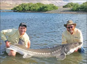  ?? PHOTO COURTESY OF KEITH SUTTON ?? Keith Sutton of Alexander, right, and Ryan Gilligan of Minnetonka, Minn., display a white sturgeon caught by Sutton in the Columbia River in Oregon. This species is one of the world’s largest freshwater fish, sometimes reaching weights nearing a ton.