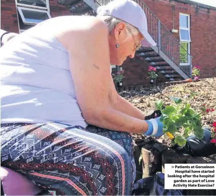  ??  ?? > Patients at Gorseinon Hospital have started looking after the hospital garden as part of Love Activity Hate Exercise?