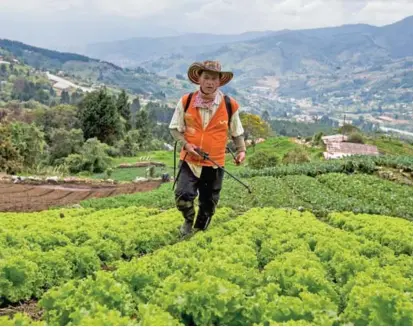  ?? FOTO JULIO CÉSAR HERRERA ?? Con frutas, hortalizas, verduras, flores y productos preparados (como pan o mostaza), esperan volver los campesinos de los corregimie­ntos de la ciudad.