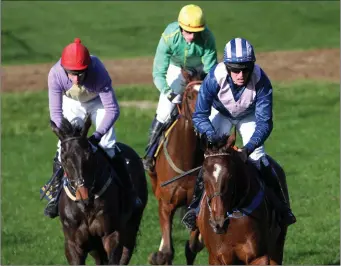  ??  ?? Rocco and Barry O’Neill (right) winning the first race in Fairwood Park, Tinahely, on Sunday.