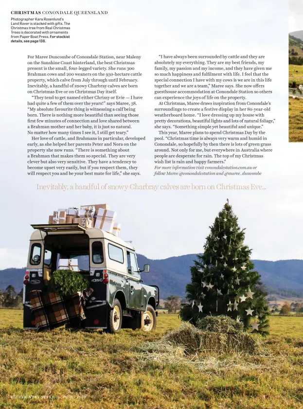  ??  ?? Photograph­er Kara Rosenlund’s Land Rover is stacked with gifts. The Christmas tree from Real Christmas Trees is decorated with ornaments from Paper Boat Press. For stockist details, see page 138.