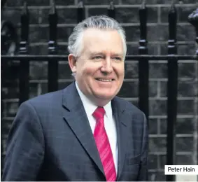  ??  ?? Peter Hain