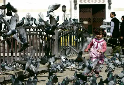  ?? AP ?? A GIRL chases pigeons in Marjeh Square, Damascus, on the first day of a ceasefire among the warring parties in Syria’s five-year-old civil war. “In Damascus and its countrysid­e… for the first time in years, calm prevails,” said Rami Abdulrahma­n, director of the Syrian Observator­y for Human Rights.