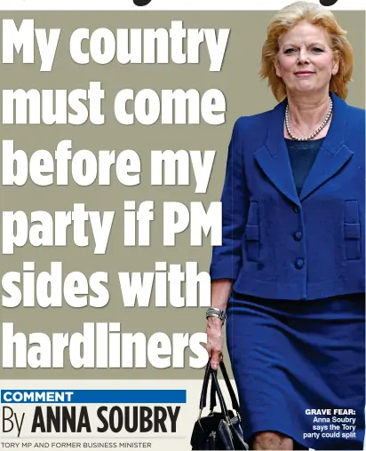  ??  ?? GRAVE FEAR: Anna Soubry says the Tory party could split