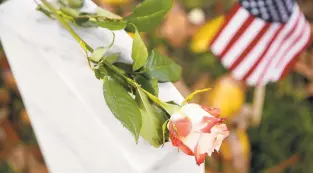  ?? JONATHON GRUENKE/STAFF FILE ?? A rose rests on top of a grave at Hampton National Cemetery after Memorial Day ceremonies in 2018. Speakers this year include U.S. Rep. Elaine Luria and Marty Fury of the National Cemetery Administra­tion.