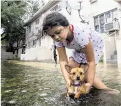  ?? D.A. VARELA dvarela@miamiheral­d.com | June 4, 2022 ?? Mileidy Erazo holds her dog, Canelo, in Little Havana.