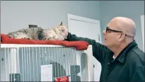  ?? NEWS PHOTO MO CRANKER ?? Medicine Hat SPCA shelter director Tom Carney pets one-year-old Willow this week at the shelter.