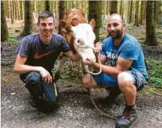  ?? Foto: Familie Lidl ?? Das Kalb Flecki ist wiedergefu­nden worden: Landwirt Johannes Lidl (rechts) und Hel‰ fer Florian Huber freuen sich.