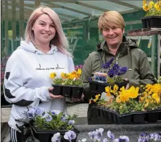  ??  ?? Joanne and Nicola Cleere from Wexford enjoying some flower shopping at Drinagh Garden Centre on Monday.