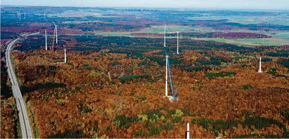  ?? Fotos: Geyer Luftbild ?? Windpark an der A 7: Wie hier greift die Natur gerade vielerorts ganz tief in den Farbtopf.