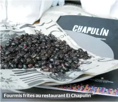  ??  ?? Fourmis frites au restaurant El Chapulin