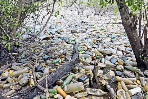  ??  ?? Discarded plastic waste chokes the beaches of Roatan, above. The scenes led British-born firm Sodastream to build The Holy Turtle, left, an ocean-going rubbish collector designed to snare floating plastic waste