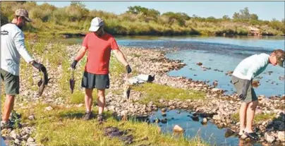  ?? ?? PECES. Al día siguiente del volcamient­o de ácido, apareciero­n peces muertos en el río Ctalamochi­ta.