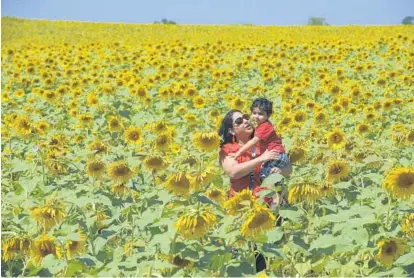  ?? KENNETH K. LAM/BALTIMORE SUN ?? Preety Shenvi of Columbia and her 2-year-old son, Veer, visit a field of sunflowers on Jarrettsvi­lle Pike near Hess Road in Baltimore County. The field became a wildly popular destinatio­n and caused traffic jams over the holiday weekend.