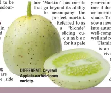  ??  ?? DIFFERENT. Crystal Apple is an heirloom variety.