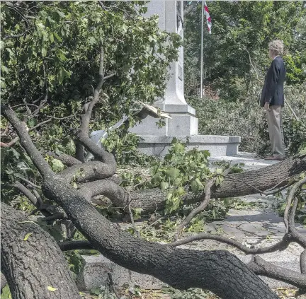  ?? DAVE SIDAWAY ?? Mayor Russell Copeman visits the Vimy memorial, which escaped damage from the Aug. 22 storm, in N.D.G. Park, on Friday.