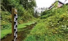  ?? Archivfoto: Bernhard Weizenegge­r ?? Für den Hochwasser­schutz bei der Kohlplatte in Leipheim erwägt das Wasserwirt schaftsamt einen bis zu drei Meter hohen und bis zu 50 Meter breiten, neuen Damm zu errichten.