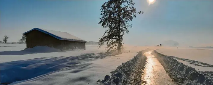  ?? Foto: Marianne Schmid ?? Der Winter von seiner schönsten Seite: Marianne Schmid hat am neuen Radweg zwischen Hiltenfing­en und Goldene Weide fotografie­rt.
