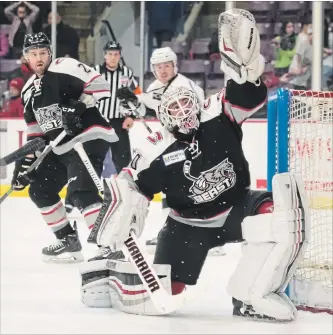  ?? BRYON JOHNSON METROLAND ?? Former Peterborou­gh Petes goalie Andrew D’Agostini, seen in action with the ECHL’s Brampton Beast, has signed on to play with the ECHL’s Allen Americans.