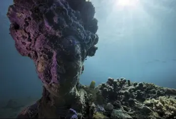  ??  ?? Settings: f/16, 1/125s,
ISO 125, Focal Length 16mm, Manual White Balance
The Canon EOS 5D Mark IV brings the colours and textures of this beautiful underwater sculpture to life • 30.4-megapixel full-frame CMOS sensor • ISO range 100-32,000 expandable...