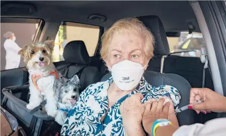  ?? ANDRE PENNER/AP ?? Maria Helena Alcantara gets a COVID-19 shot while sitting in her car with her pets Wednesday at a drive-thru site in Sao Paulo, Brazil. The country is one of three in the world to record at least 10 million confirmed coronaviru­s infections.