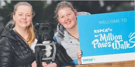  ?? ?? Naomi Berry, Claire Schultz and staffy Luna will be taking part in this weekend's Geelong Million Paws Walk at the Geelong Botanic Gardens. Picture: Alan Barber