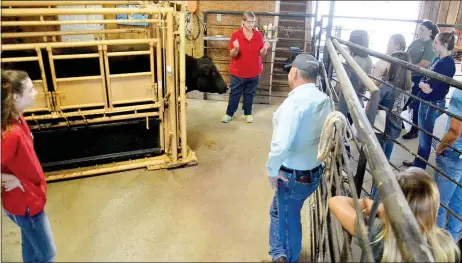  ?? TIMES photograph­s by Annette Beard ?? Students from the Vet Science class of the Career and Technical program at Pea Ridge High School experience­d care for large animals first hand during a visit to Oak View Animal Clinic thanks to teacher Perry Mason, right, and Dr. Karen Sherman,...