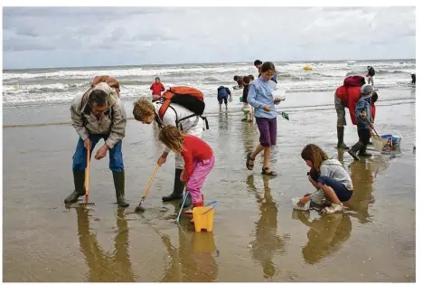  ??  ?? Une nouvelle fois, l’estran accueiller­a des milliers de pêcheurs à pied ce week-end. Pour une pêche intelligen­te, durable et en toute sécurité, mieux vaux se renseigner.