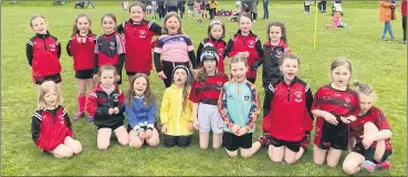  ?? ?? The Mitchelsto­wn Ladies Football U7s and U8s who played in last week’s blitz hosted by Kilworth.