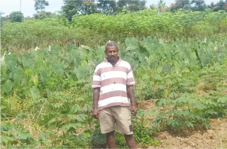  ?? Photo: Fiji Correction­s Services ?? Manasa Vakasoqo at his farm.