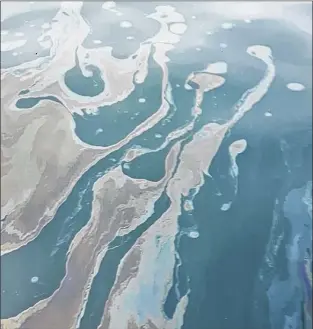  ?? SUBMITTED PHOTO BY JEANNINE WINKEL ?? An oil slick on the water in the Witless Bay Ecological Reserve on Friday.