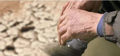  ?? PHOTO: ISTOCK ?? TOUGH TIMES: During a drought, farmers' resilience shines through.