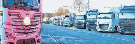  ?? FOTO: BERND WEISSBROD/DPA ?? Rastplätze wie hier am Sindelfing­er Wald bei Stuttgart sind jeden Abend übervoll. Die Niederlass­ung Südwest der Autobahn GmbH des Bundes will deshalb bis 2030 mehr als tausend weitere Lkw-Stellplätz­e schaffen.