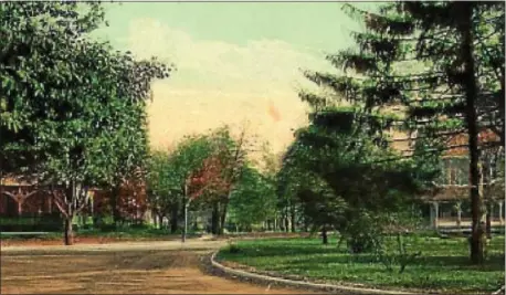  ??  ?? Step back in time to Ridley Park, seen circa 1908 in “Ridley Park Pa. Hinckley Ave. at Swarthmore Ave. looking South,” at the borough’s Victorian Fair on Sept. 9.