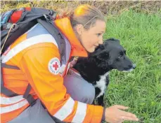  ?? FOTO: BRK ?? Die Hündin Mika hat am Dienstag eine vermisste Frau gefunden, die in einem Gebüsch in einem Waldstück lag.