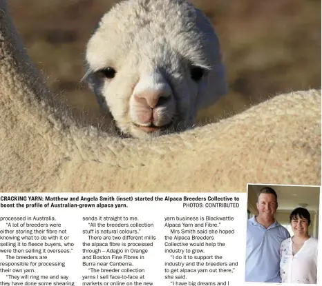  ?? PHOTOS: CONTRIBUTE­D ?? CRACKING YARN: Matthew and Angela Smith (inset) started the Alpaca Breeders Collective to boost the profile of Australian-grown alpaca yarn.