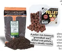  ??  ?? A pellet-rich fishmeal groundbait and drilled crab pellets make a deadly combo