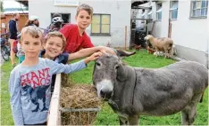  ??  ?? Vor allem für Kinder ein besonderes Erlebnis: Einen Esel und andere Tiere streicheln konnte man beim Radelspaß in Behlingen.