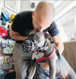  ?? PHOTOS: PHIL CARPENTER ?? Nick Pensa with Priya. A bylaw requires pit bulls to be muzzled outside their homes.