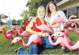  ?? TAIMY ALVAREZ/STAFF PHOTOGRAPH­ER ?? Hollywood Women’s Club members and part of the flamingo flocking crew Trish McGee, left, and Cynthia Lorio-Butler among the 25 plastic pink flamingos the club uses.